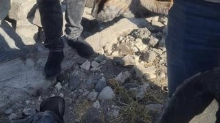 Задержано одно лицо по факту убийства в Мердзаване